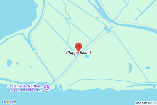 Chipp