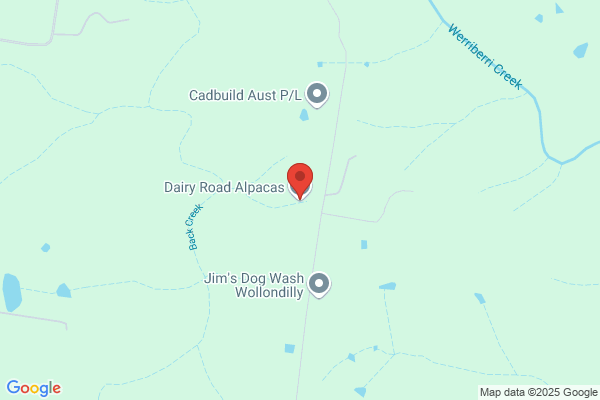 Illawarra Alpacas