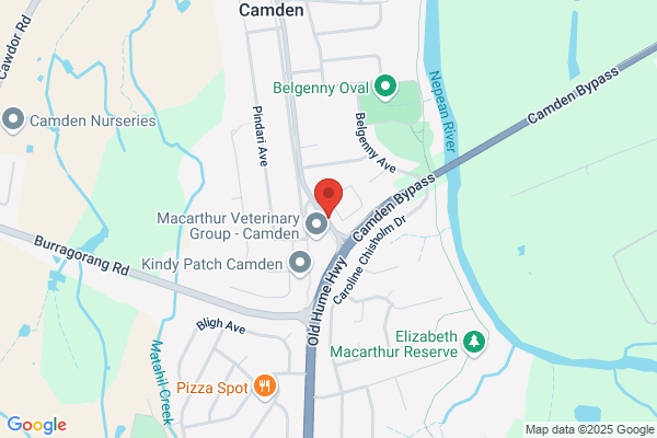 Camden Nursing Home