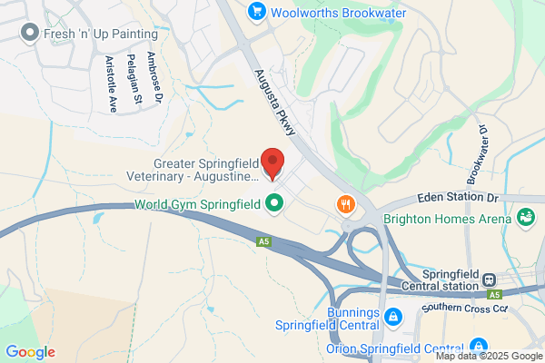 Greater Springfield Veterinary - Augustine Heights Hospital
