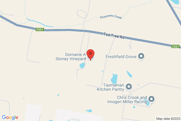 Domaine A/Stoney Vineyard