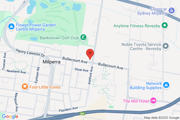 wildbean cafe