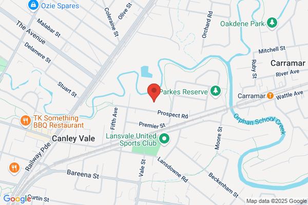 Canley Vale High School