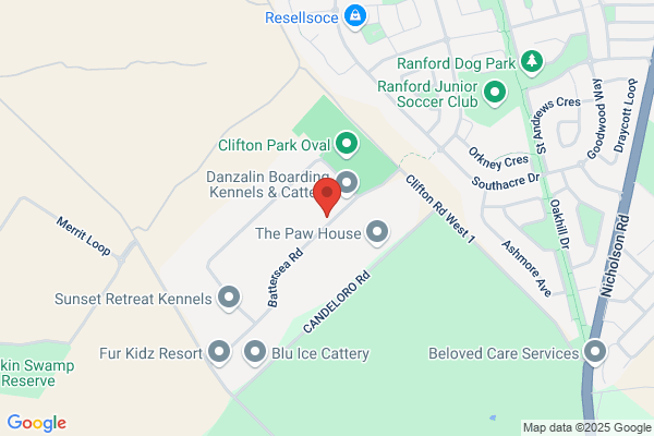 Ace Luxury Cattery