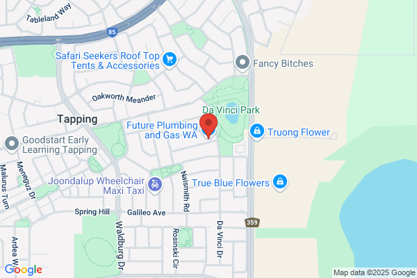 Future Taps Plumbing And Gas Services