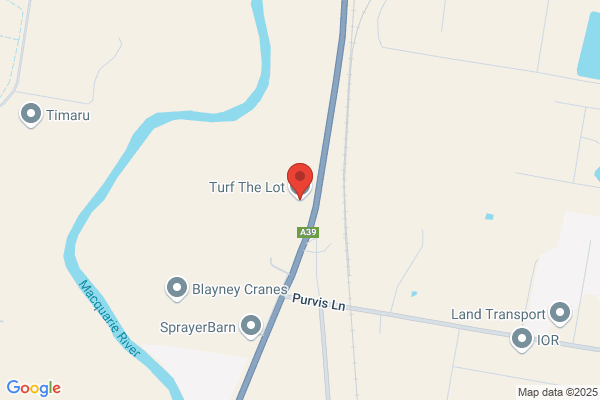 Turf The Lot