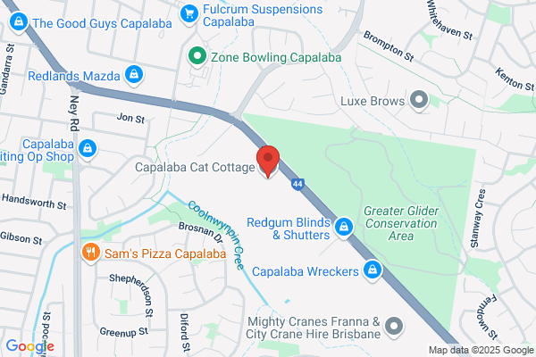 Capalaba Cat Cottage
