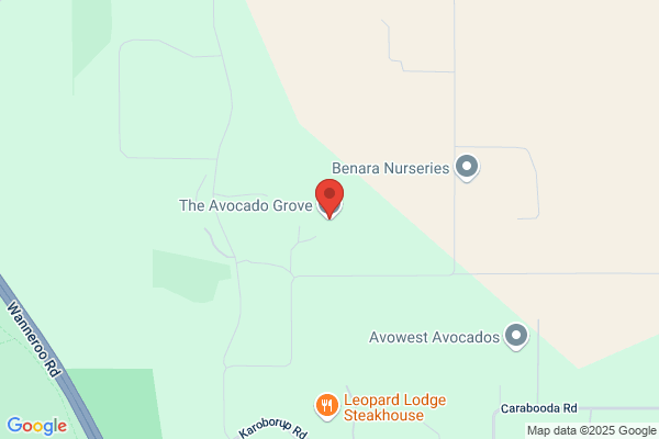 Avocado Grove The