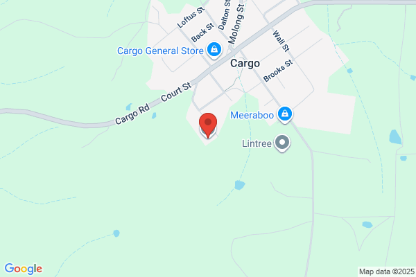 Cargo Public School