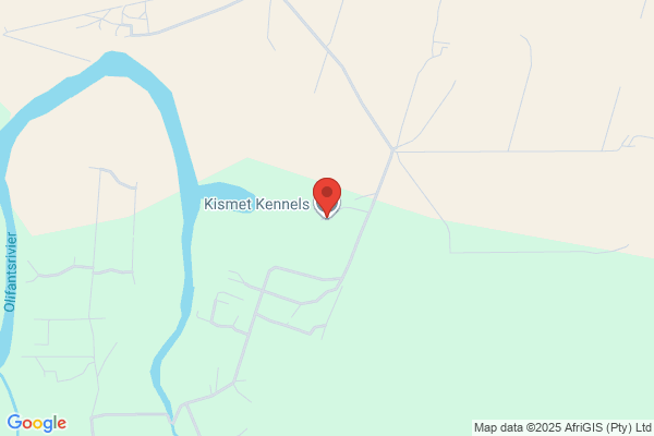 Kismet Boarding Kennels & Cattery