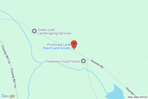 Promised Land Foods