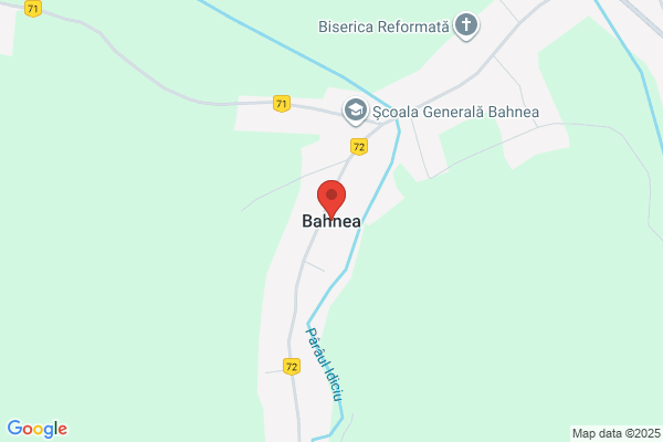 Bahnasawi, Zaher Dr