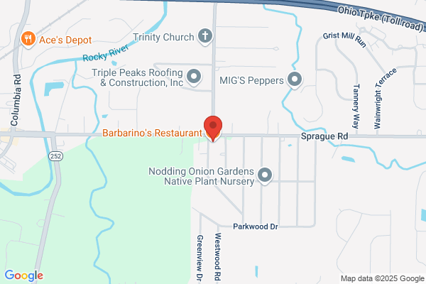 Barbarino's Pizza