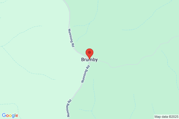 Brumby J