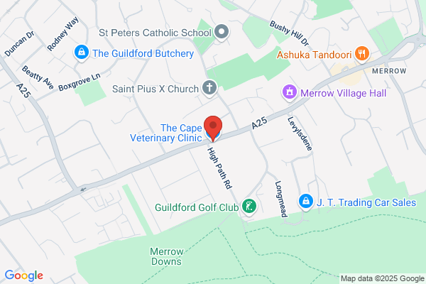 Cape Vet Clinic