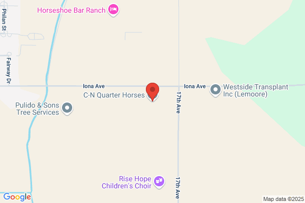 Baldwin R H & S J-Quarter Horses