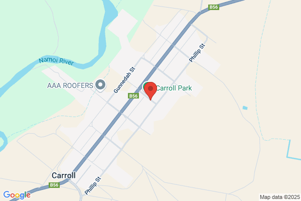 Carroll Public School