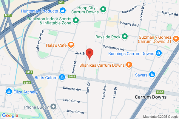 American Vehicle Specialists