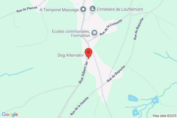 Alternative Dogs