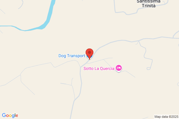 T-Dog Transport