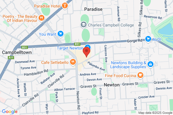 Domino's Pizza Newton
