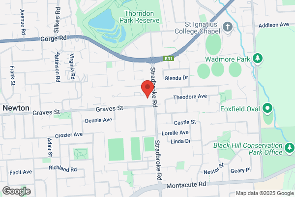Adelaide Motor Body Repairs