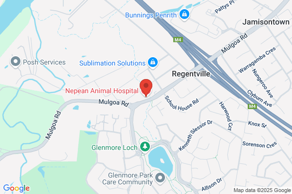 Chris Christou,Mulgoa Veterinary Clinic