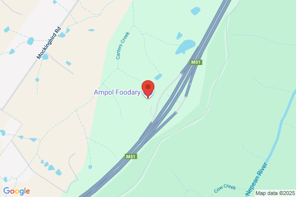 Caltex Ampol Service Station