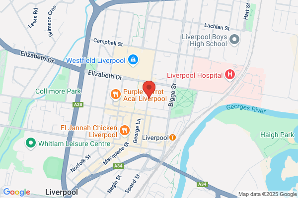 Action Martial Art Supplier