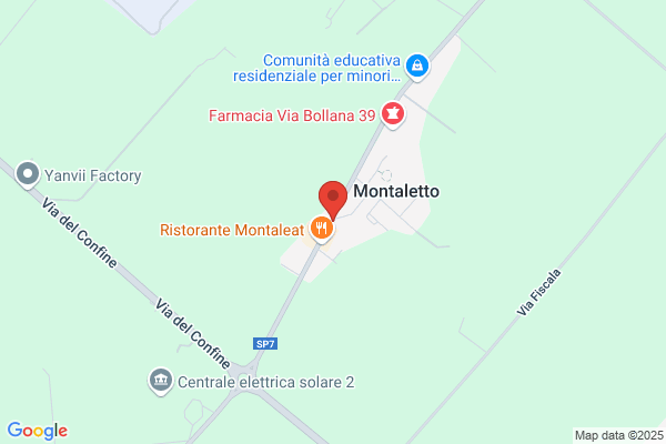 Cesari H M