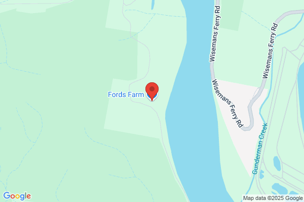 Ford N J