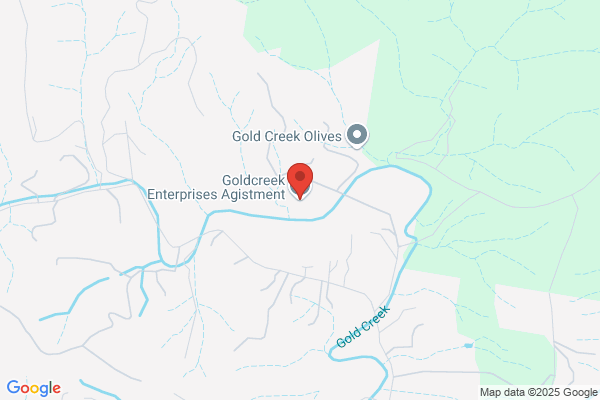 Goldcreek Enterprises Agistment