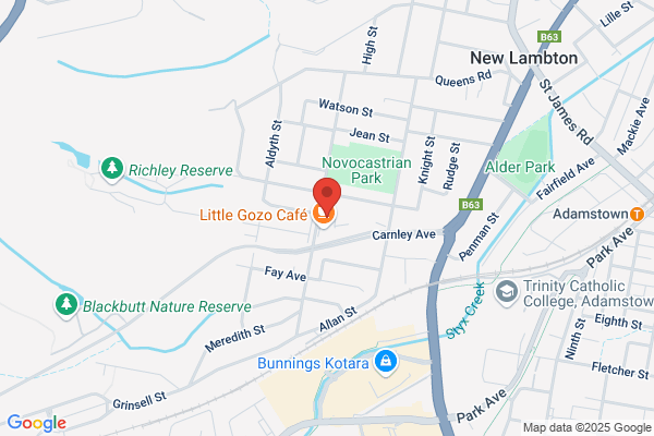 McGrath Estate Agents New Lambton