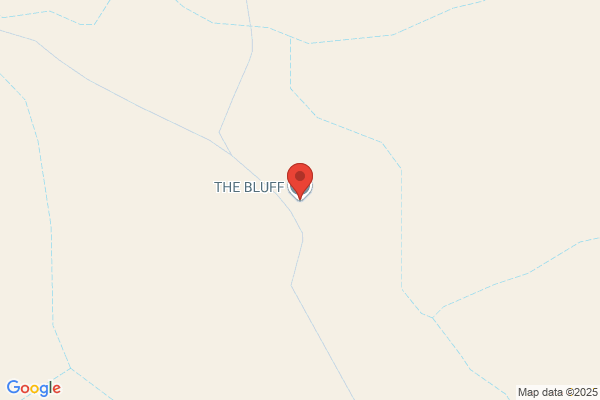 Bluff Downs Station