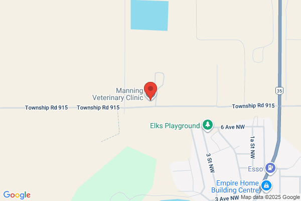 Clinic-Manning Veterinary Hospital