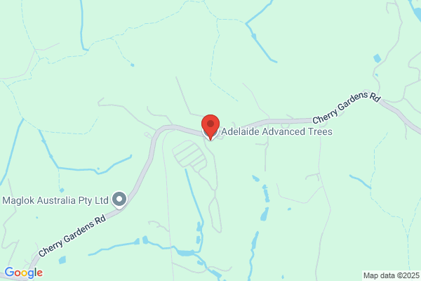 Adelaide Advanced Trees