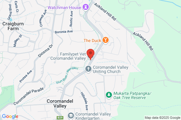 Coromandel Family Pet Vet
