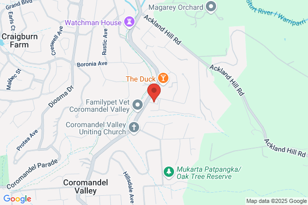 Coromandel Physiotherapy Clinic