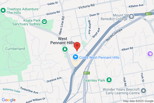 Connex United Processors