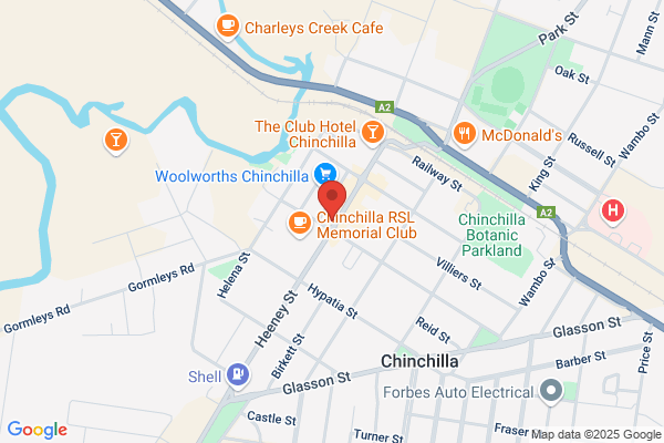 Chinchilla 1 Hour Photos