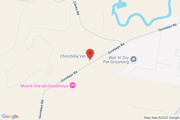 Chinchilla Veterinary Service
