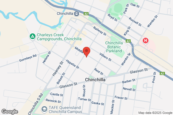 bloom hearing specialists Chinchilla