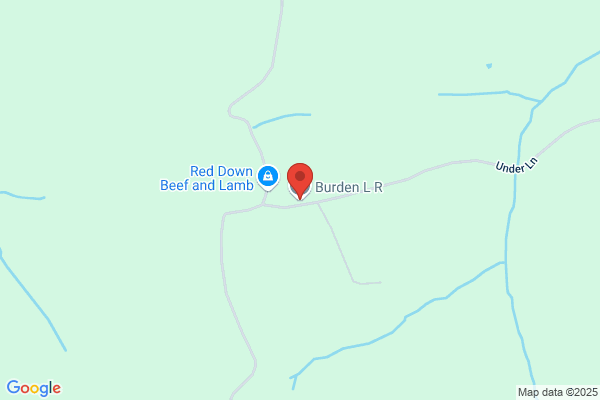 Burden Richard