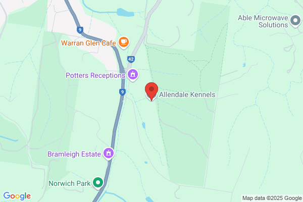 Findale Boarding Kennels