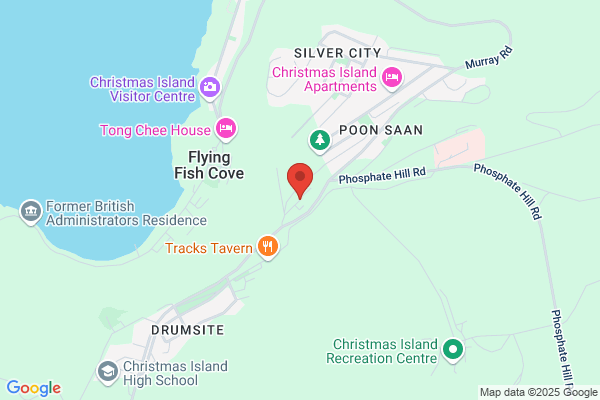 Christmas Island Surveying Company