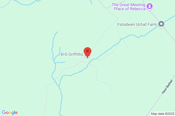 Griffiths D G