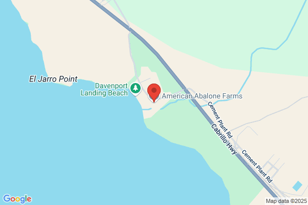 Bayside Abalone Farms