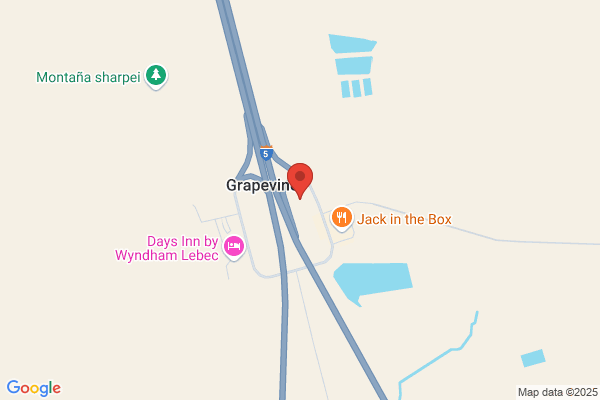 Grapevine