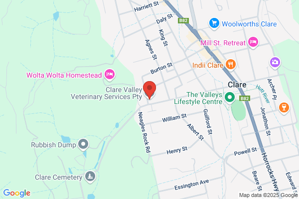 Animal Matters Veterinary Hospital