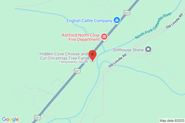 Choose & Cut Xmas Tree Farms